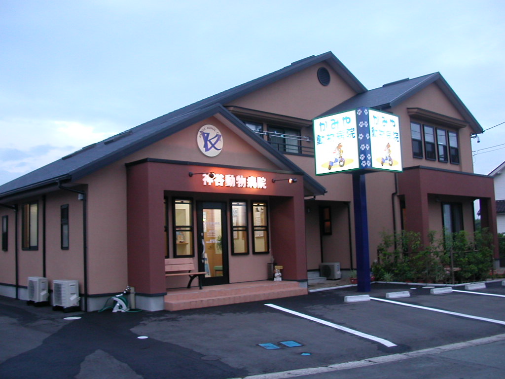 神谷動物病院