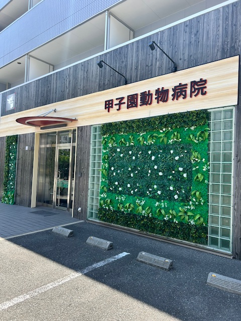 甲子園動物病院