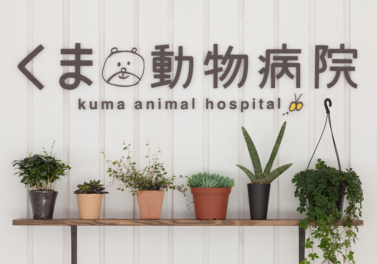 くま動物病院