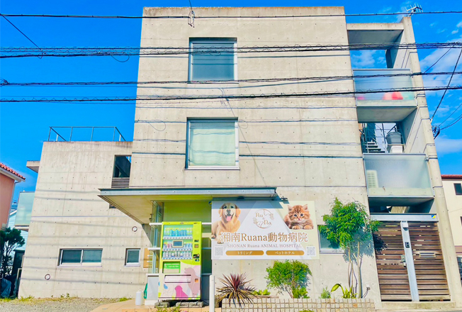 湘南Ruana動物病院