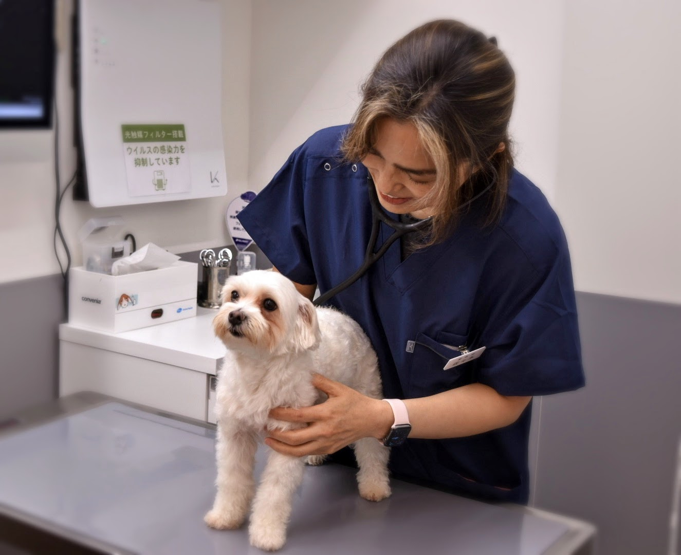 ペテモ動物病院　キテラプラザ青葉台