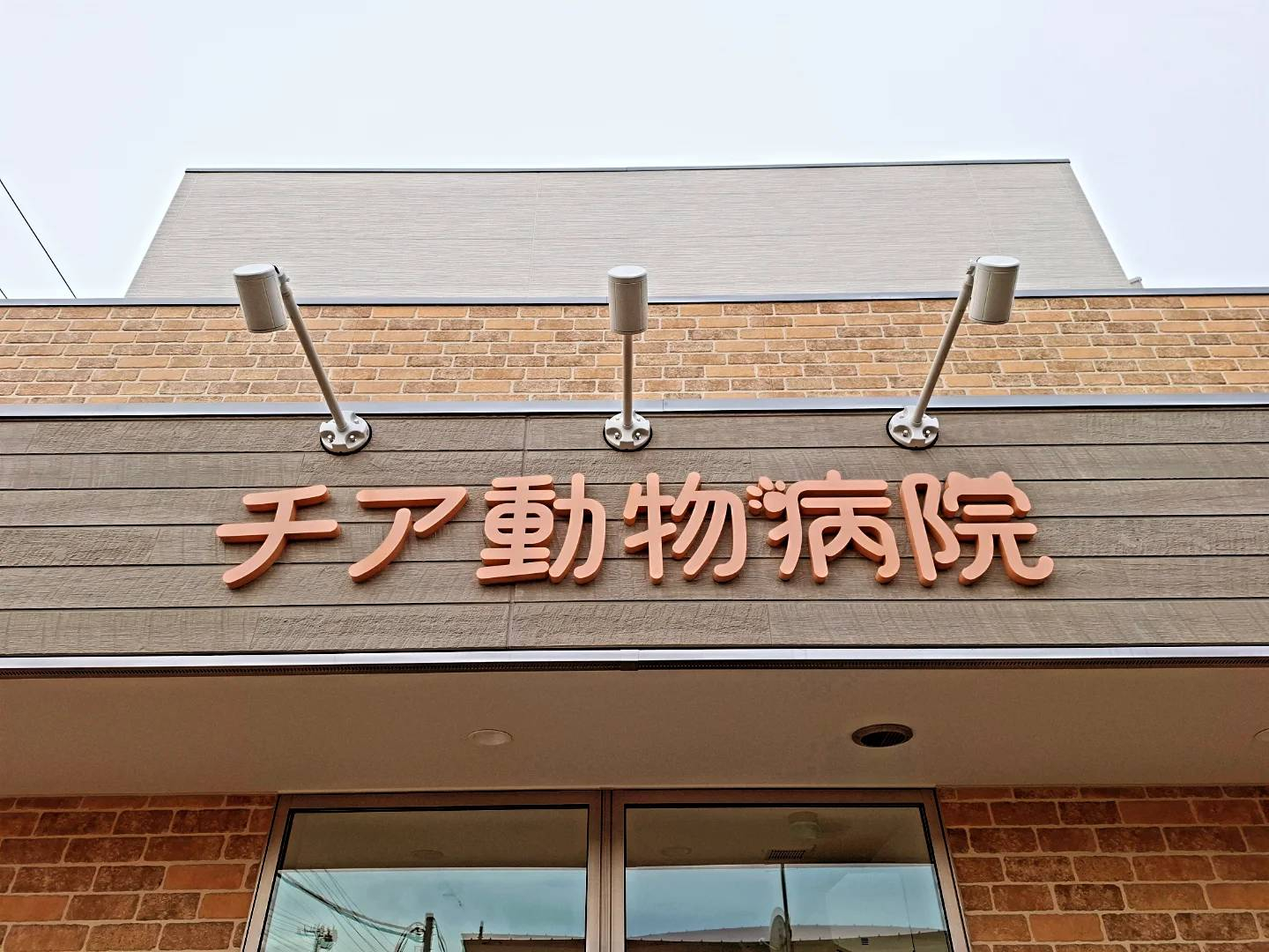 チア動物病院