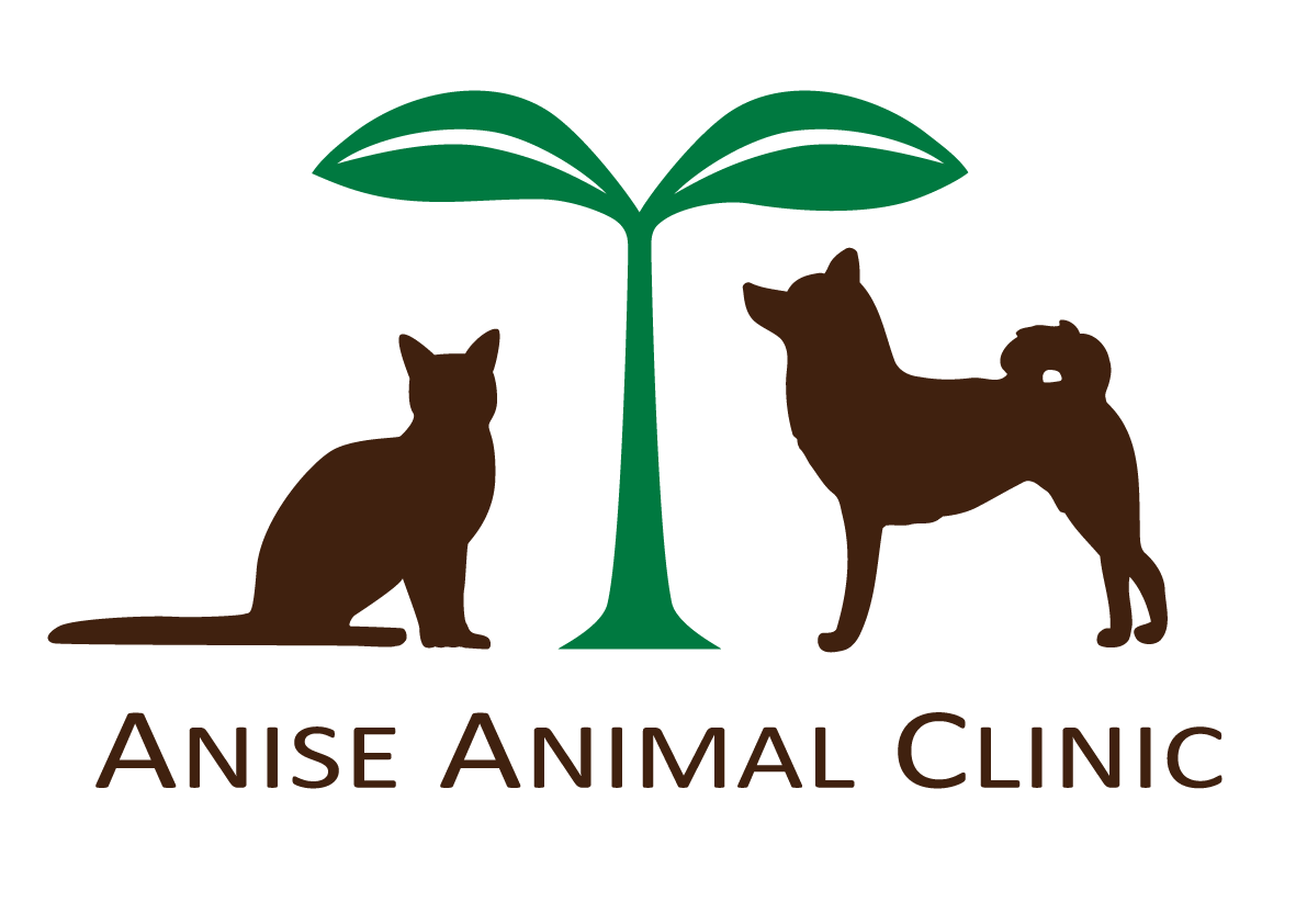 動物病院画像