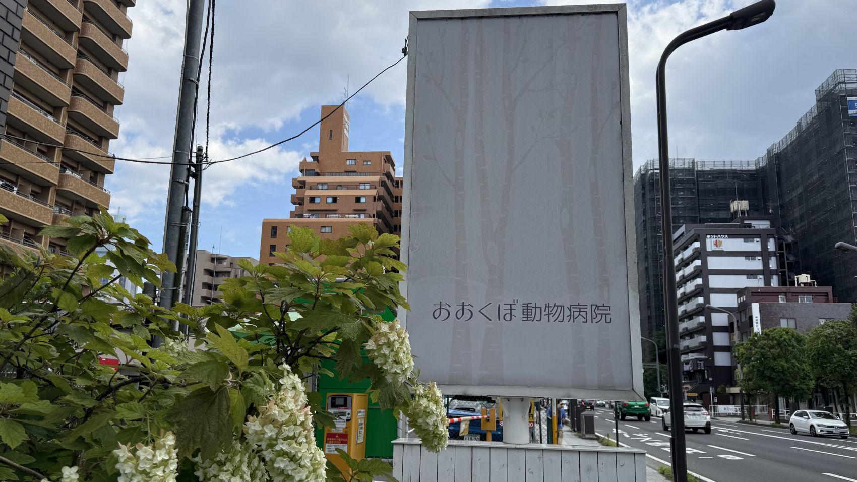 おおくぼ動物病院